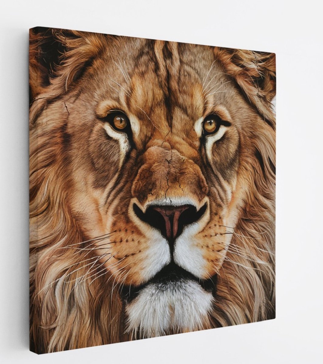 Saammp Canvas Schilderij - Close-up Leeuw - Dieren - Natuur - 60x60 - Foto op canvas - Wanddecoratie - Muurdecoratie Woonkamer - Slaapkamer decoratie - Canvas Print Multicolor