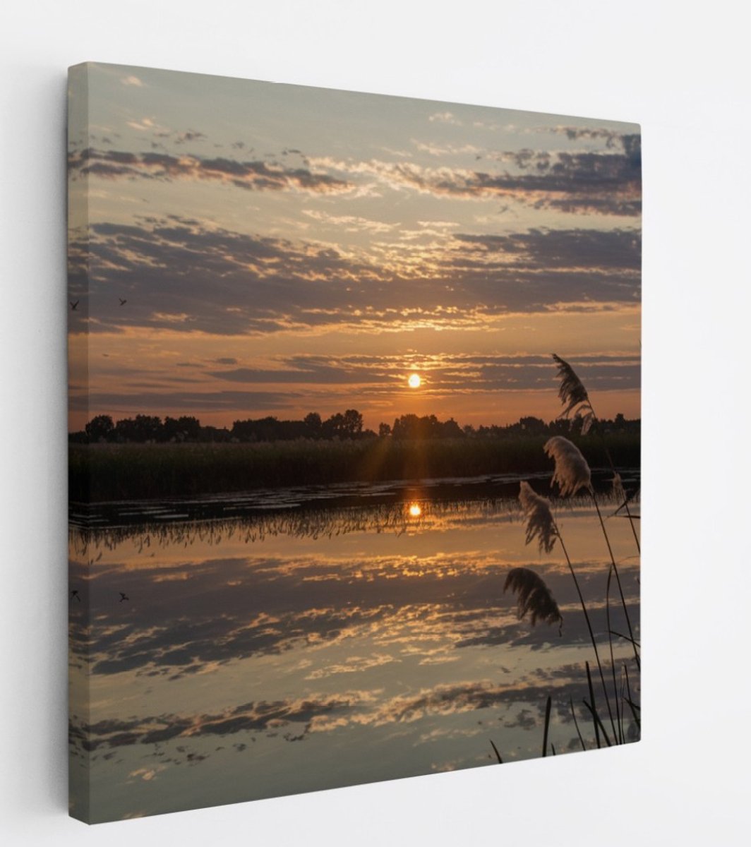 Saammp Canvas Schilderij -Landschap - Zonsondergang - Planten - 30x30 - Foto op canvas - Wanddecoratie - muurdecoratie Woonkamer - Slaapkamer decoratie - Canvas Print Multicolor