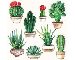 Ambiente Servetten - 33x33 cm - 20 stuks - Cactussen