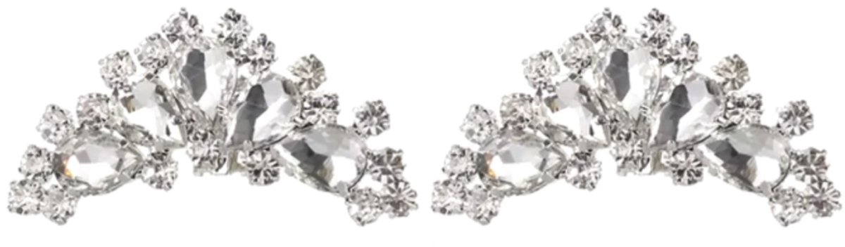 Bruidsschoen -clips -zilverkleurig - Charme Bijoux