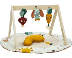 Tiny Love Luxe Gymini - Garden Of Adventures