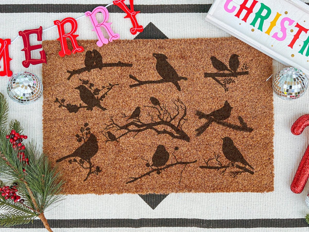 Winter Birds On Branch | 90x60 cm | Nieuwe huis cadeau | Ingangsmat | Deurmat met stijl | Verhuizing cadeau | Praktisch & trendy | Perfect voor binnenkomst | Cadeau voor nieuwe woning