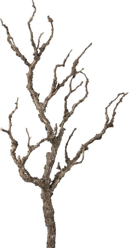 Flourify, Branche Décoration - 2 pièces - plantes artificielles - fleurs artificielles - 65 cm