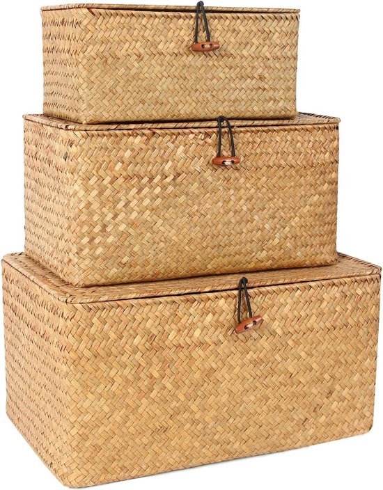FEILANDUO Cestas de estante con tapa, juego de 3 cajas de almacenami
