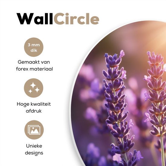 WallCircle® Wandcirkel 60x60 cm - Muurcirkel Lavendelbloemen - Paars - Zonlicht - Muurdecoratie woonkamer - Wanddecoratie slaapkamer - Kamer decoratie accessoires - Ronde schilderijen