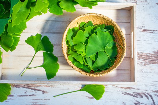 Groene ginkgo bladeren in een mandje op een houten dienblad.