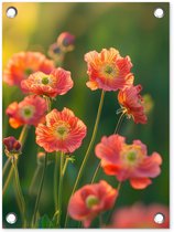 Tuinposter 30x40 cm - Tuindecoratie Bloemenveld - Zonnestralen - Oranje - Poster voor in de tuin - Buiten decoratie - Schutting tuinschilderij - Tuindoek muurdecoratie - Wanddecoratie balkondoek