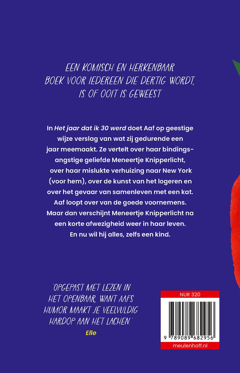 Het jaar dat ik 30 werd - back cover