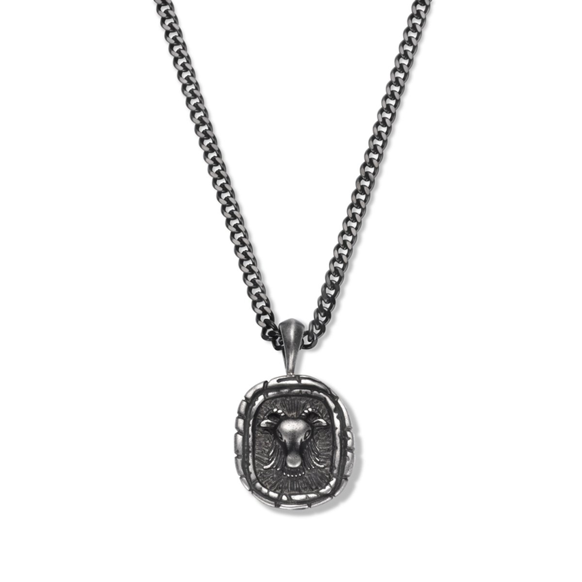 Frank1967 7FB-0042 zodiac ketting - 60CM - Steenbok - Cadeau voor mannen - Sterrenbeeld