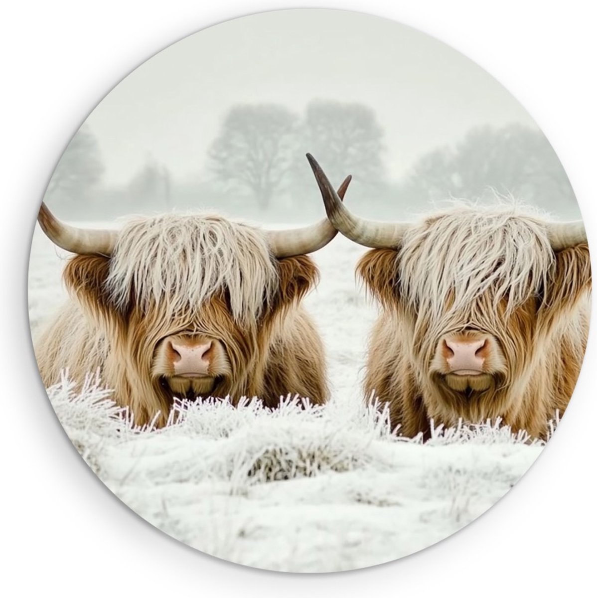 Saammp Muurcirkel Hout - 2 Liggende Schotse Hooglander Koe - Dieren - Landschap - Ø 90 - Wandcirkel - Wanddecoratie Cirkel - muurdecoratie Woonkamer - Slaapkamer decoratie - Rond Schilderij