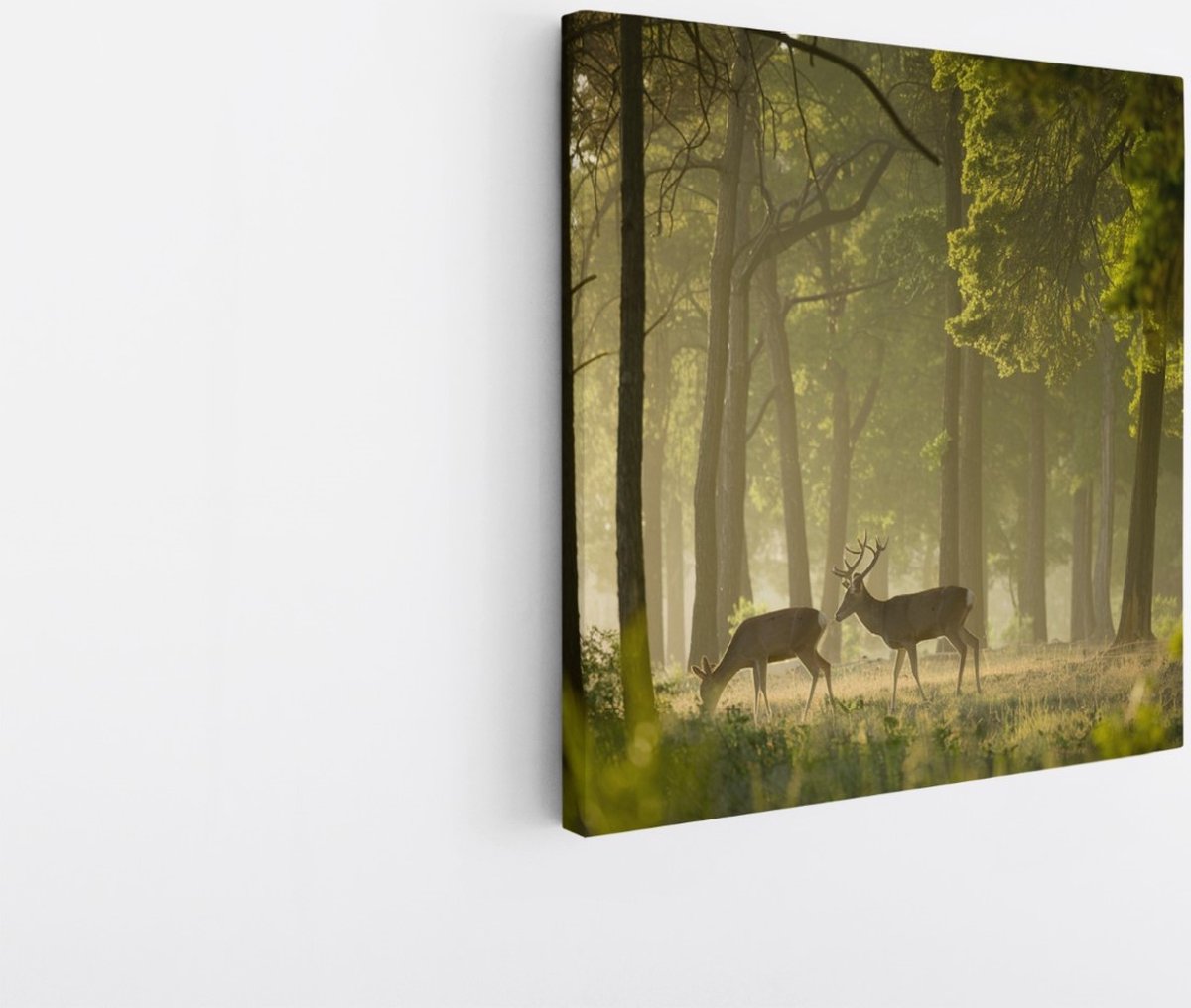 Saammp Canvas Schilderij - 2 Herten in het bos - Dieren - Landschap - Natuur - 20x20 - Foto op canvas - Wanddecoratie - Muurdecoratie Woonkamer - Slaapkamer decoratie - Canvas Print Multicolor