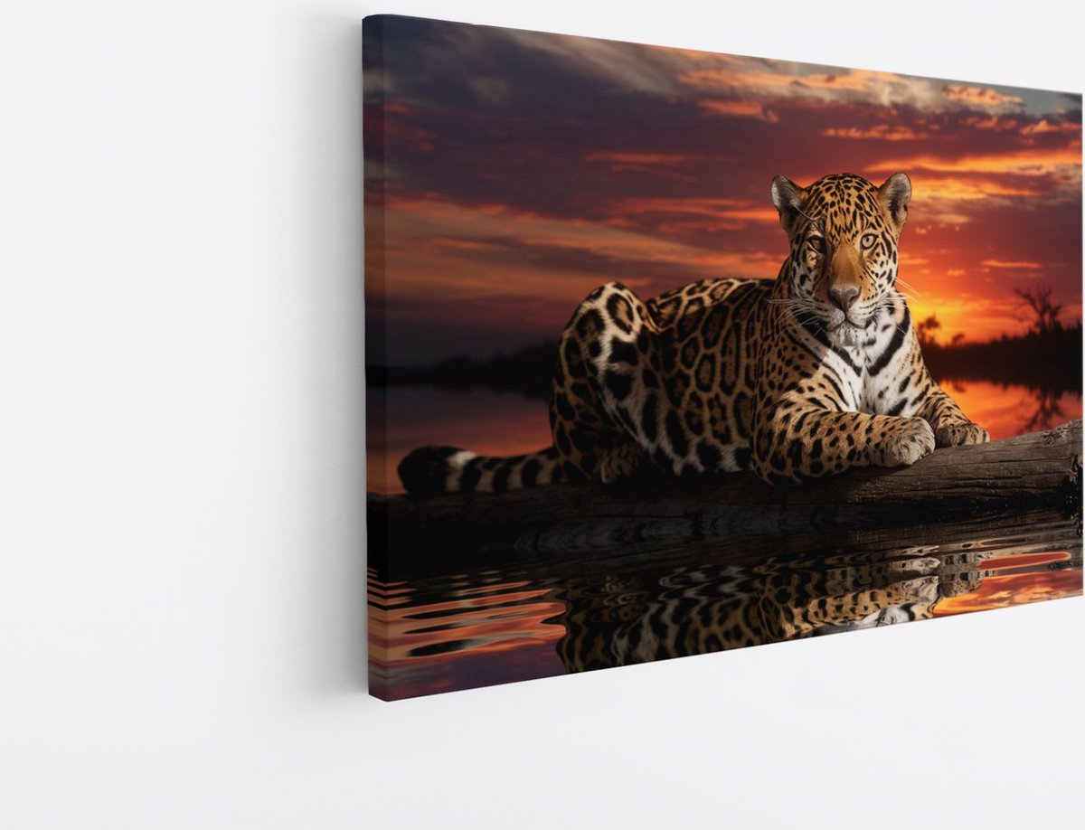 Saammp Canvas Schilderij - Jaguar in zonsondergang - Natuur - Dieren - 45x30 - Foto op canvas - Wanddecoratie - Muurdecoratie Woonkamer - Slaapkamer decoratie - Canvas Print Multicolor