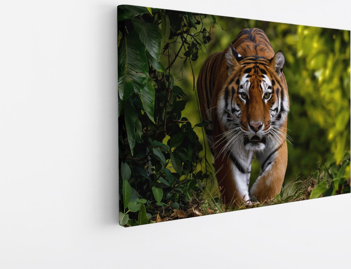 Saammp Canvas Schilderij - Tijger tussen de bladeren - Natuur - Dieren - 30x20 - Foto op canvas - Wanddecoratie - muurdecoratie Woonkamer - Slaapkamer decoratie - Canvas Print Multicolor