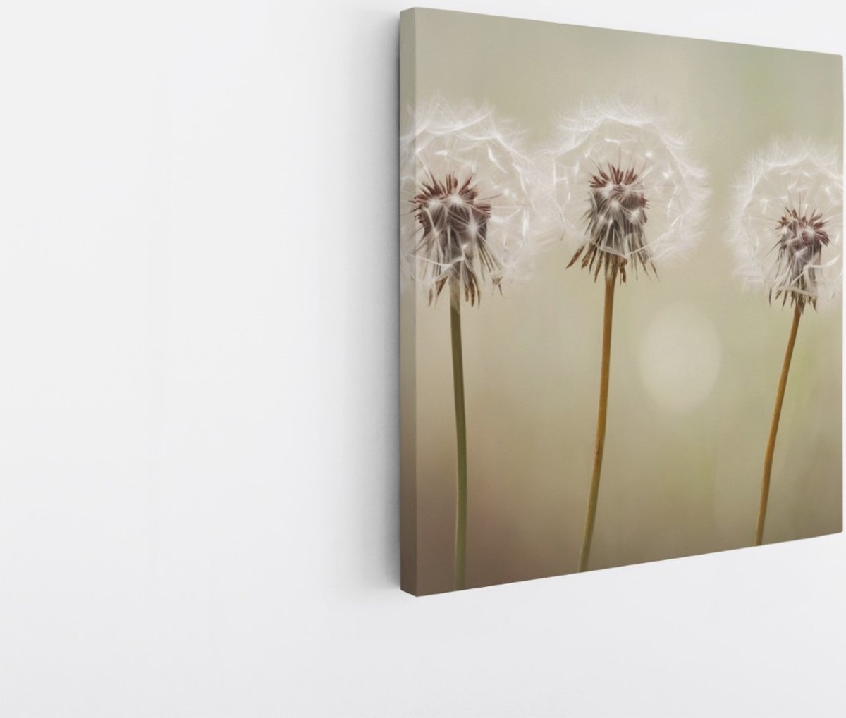 Saammp Canvas Schilderij - 4 Paardebloemen - Abstract - 30x30 - Foto op canvas - Wanddecoratie - Muurdecoratie Woonkamer - Kantoor Decoratie Multicolor