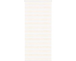 vidaXL - Zebra - rolgordijn - 100x200 - cm - stofbreedte - 95,9 - cm - marmerbeige