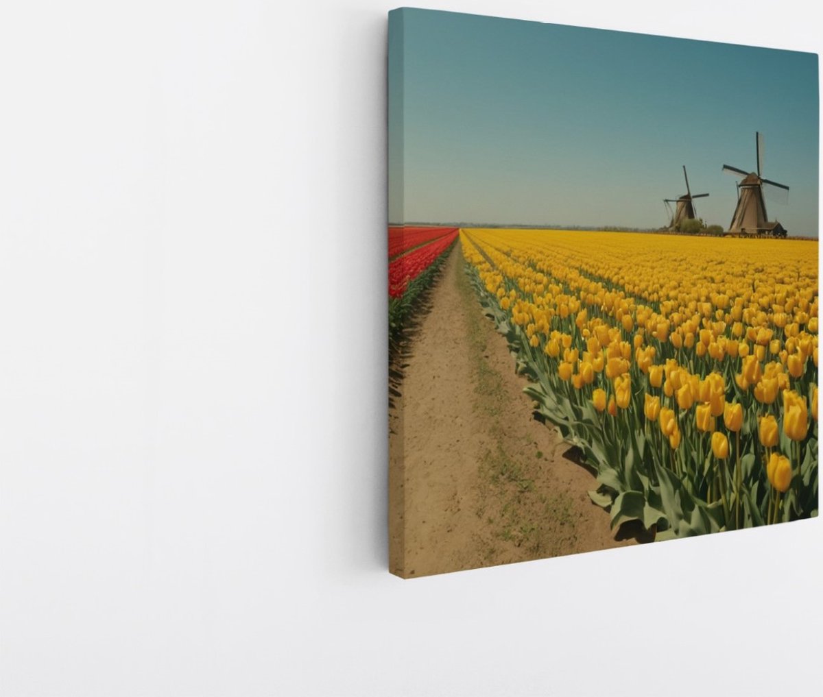 Saammp Canvas Schilderij - Landschap - Rode en gele tulpen- Natuur - 60x60 - Foto op canvas - Wanddecoratie - Muurdecoratie Woonkamer - Slaapkamer decoratie - Canvas Print Multicolor