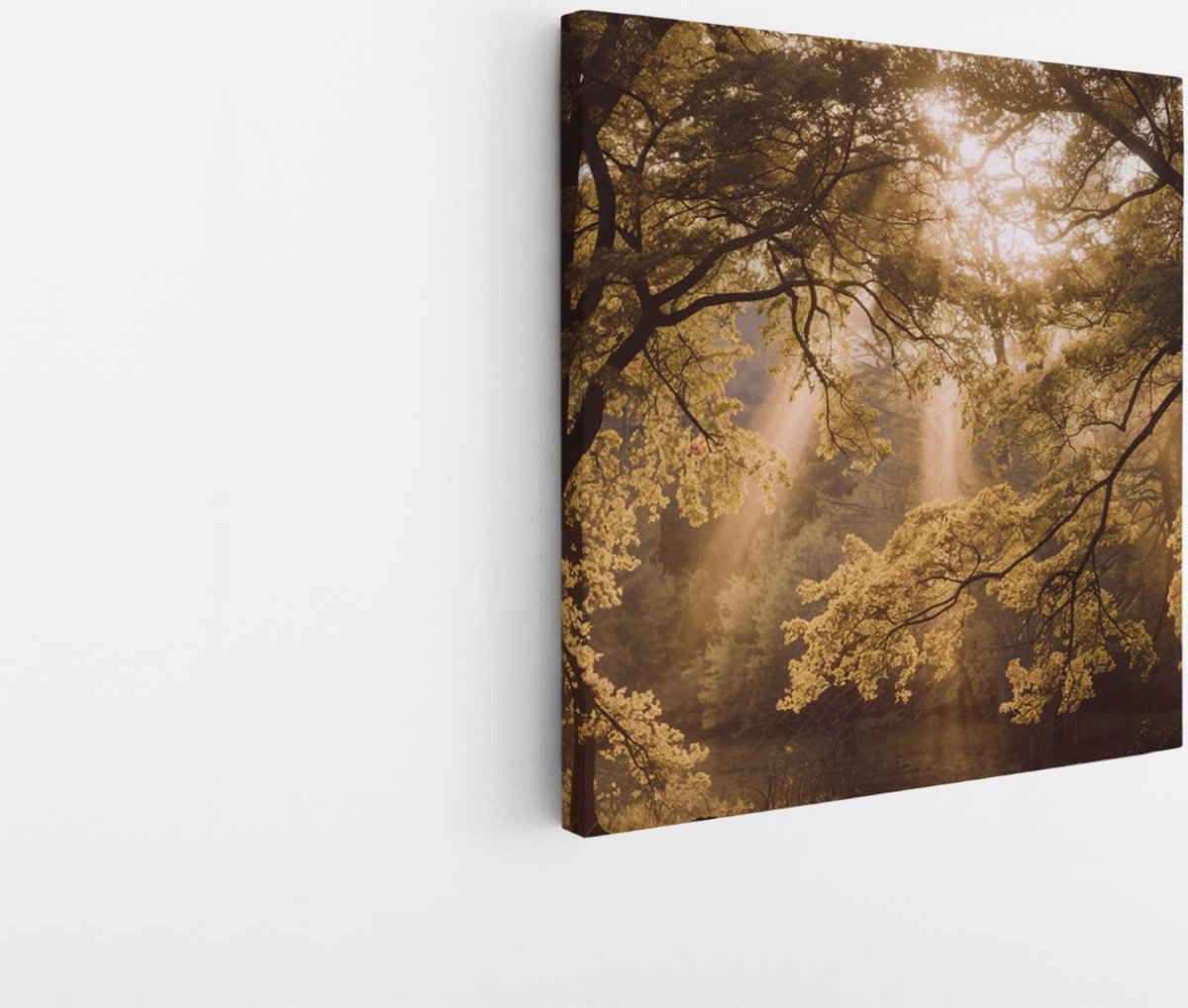 Saammp Canvas Schilderij - Lichtval - Bomen - Landschap - Natuur - 60x60 - Foto op canvas - Wanddecoratie - Muurdecoratie Woonkamer - Slaapkamer decoratie - Canvas Print Multicolor