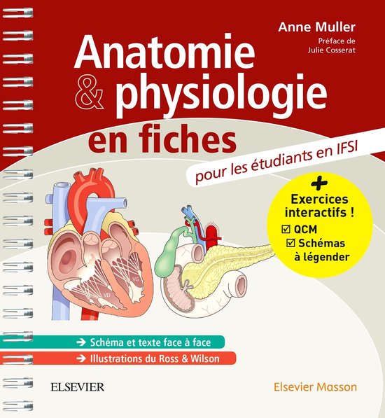 Anatomie et physiologie en fiches Pour les étudiants en IFS ... - cover