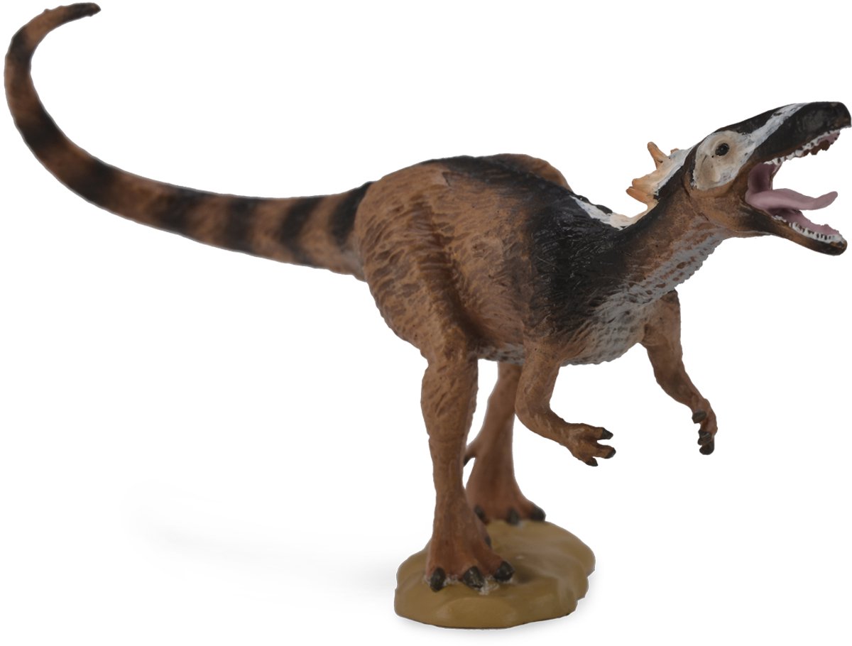 Prehistorie (M): XIONGGUANLONG 10x6cm van Collecta in Bruin – productfoto