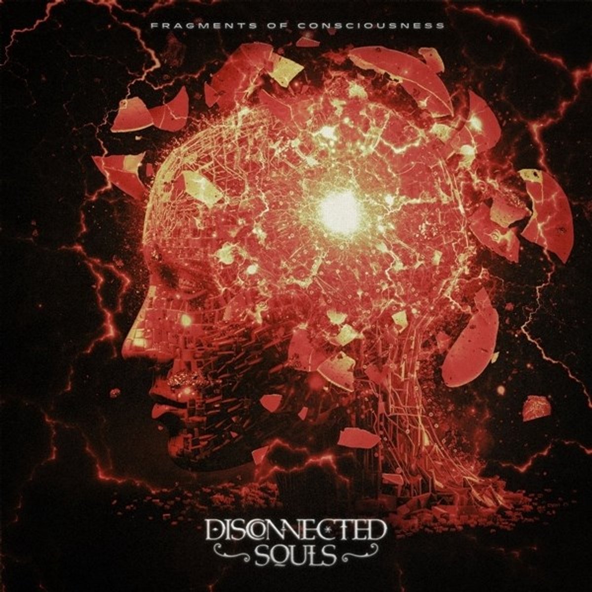 Disconnected Souls - Fragments Of Consciousness (CD)