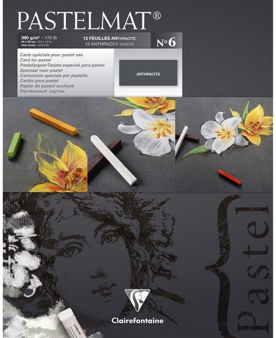 Clairefontaine Pastelmat Nr 6 Antraciet 12 vel 360 grams 24 x 30 cm
