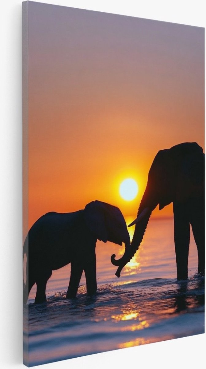 Saammp Canvas Schilderij - Olifanten met zonsondergang - Dieren - Natuur - 40x50 - Foto op canvas - Wanddecoratie - Muurdecoratie Woonkamer - Slaapkamer decoratie - Canvas Print Multicolor