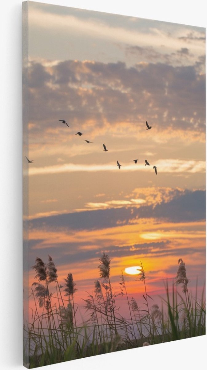 Saammp Canvas Schilderij - Nederland Tijdens zonsondergang - Zonsondergang - Landschap - Natuur - 100x150 - Foto op canvas - Wanddecoratie - Muurdecoratie Woonkamer - Slaapkamer decoratie - Canvas Print Multicolor