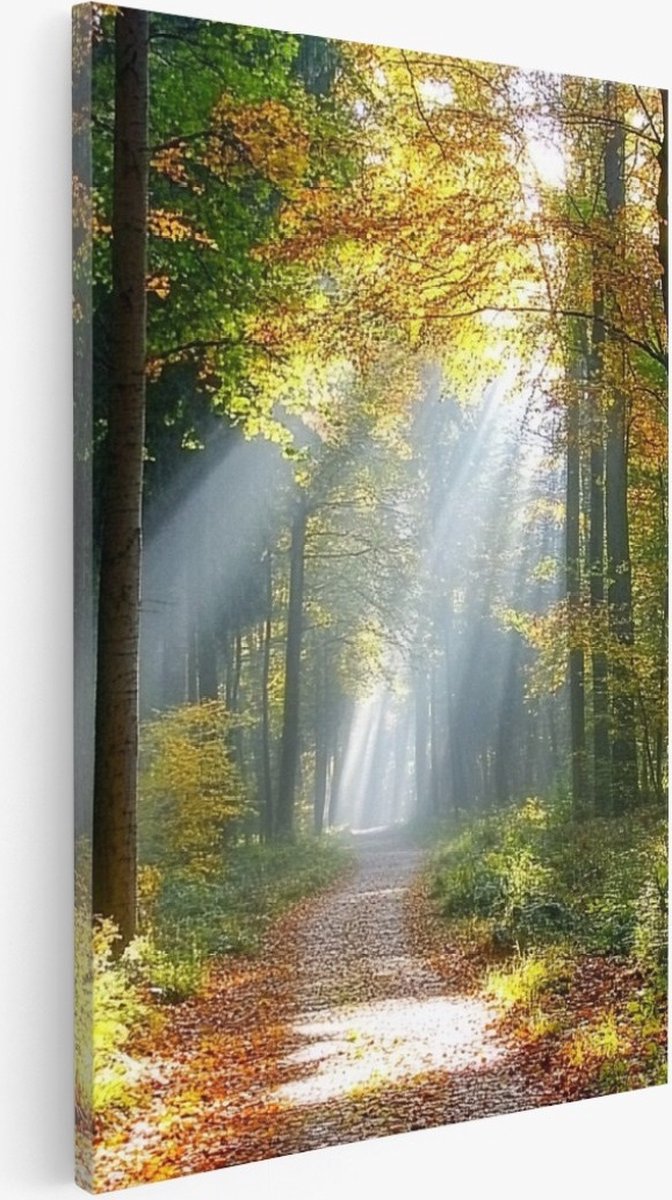 Saammp Canvas Schilderij - Botanisch - Bospad - Herfstachtig - Landschap - Natuur - 30x45 - Foto op canvas - Wanddecoratie - Muurdecoratie Woonkamer - Slaapkamer decoratie - Canvas Print Multicolor