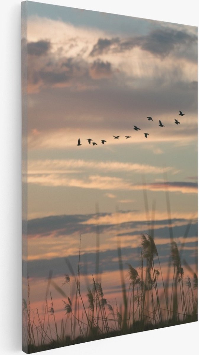 Saammp Canvas Schilderij -Vogels tijdens Golden hour - Zonsondergang - Landschap - Natuur - 40x50 - Foto op canvas - Wanddecoratie - Muurdecoratie Woonkamer - Slaapkamer decoratie - Canvas Print Multicolor