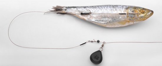 Spro RTG Deadbait Bottom Rig H4 - 50cm - Grijs van Spro — afbeelding 2