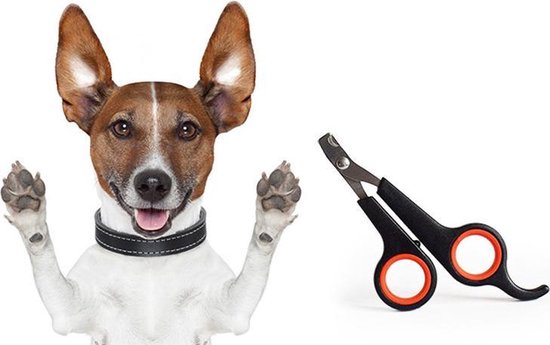 Nagelschaar voor katten en kleine honden – Custom Pet Supplies