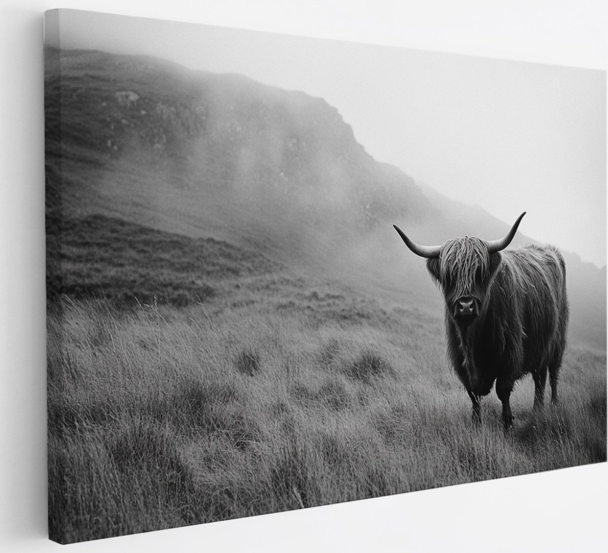 Saammp Canvas Schilderij - Schotse Hooglander Koe in het hoge gras - Landschap - Dieren - Natuur - 30x20 - Foto op canvas - Wanddecoratie - muurdecoratie Woonkamer - Slaapkamer decoratie - Canvas Print Multicolor