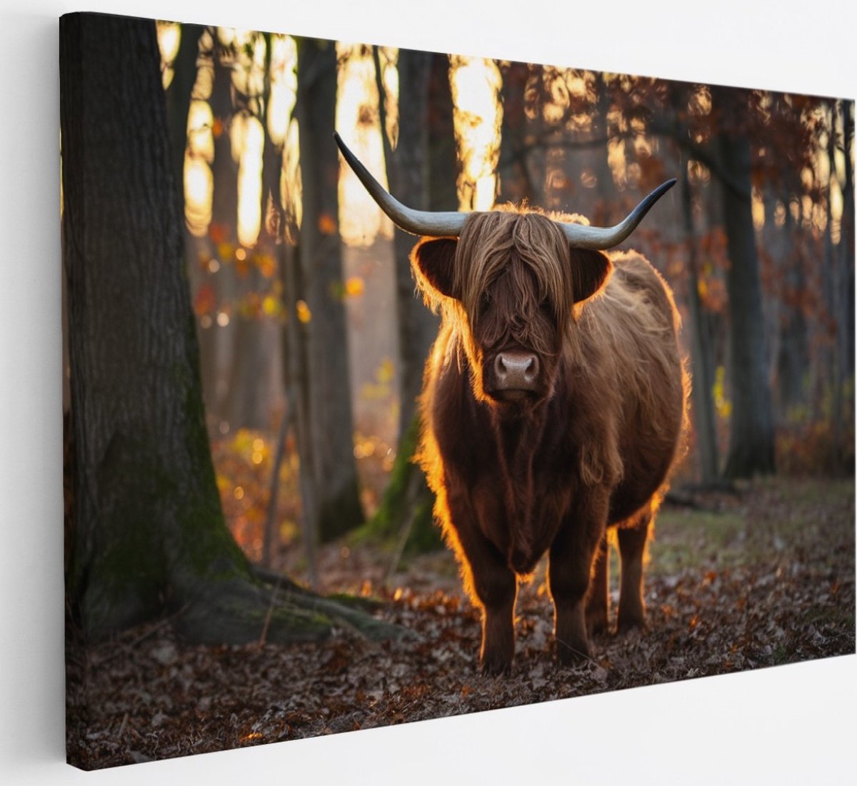 Saammp Canvas Schilderij - Schotse Hooglander Koe in een bos - Dieren - Portret - 30x20 - Foto op canvas - Wanddecoratie - muurdecoratie Woonkamer - Slaapkamer decoratie - Canvas Print Multicolor