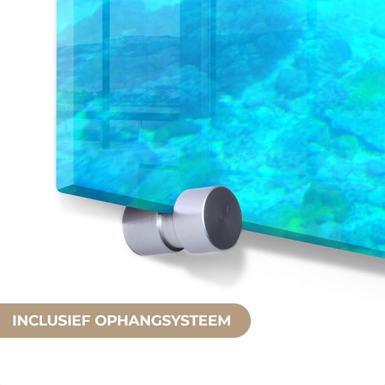 MuchoWow® Peinture sur Verre - Tortue - Mer - Blauw - 180x120 cm - Peintures sur Verre Acrylique - Photo sur Glas