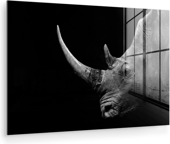 MuchoWow - Peinture sur verre - Photo sur verre - Verre acrylique - Animaux sauvages - Rhinocéros - Nature - Herbe - 180x120 cm - Peinture sur verre animaux - Peinture sur verre - Décoration murale verre - Peintures salon