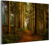 Tableau aluminium 120x80 cm - Décoration murale métal - Forêt - Nature - Arbres - Paysage - Feuilles - Décoration murale métal salon - Décoration industrielle - Photo sur dibond - Accessoires industriels chambre