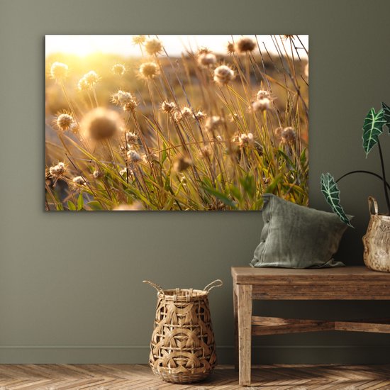 Une peinture de fleurs séchées dans la lueur dorée du coucher du soleil, suspendue au-dessus d'un banc en bois.