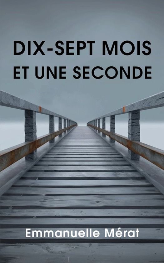 Dix-sept mois et une seconde - cover