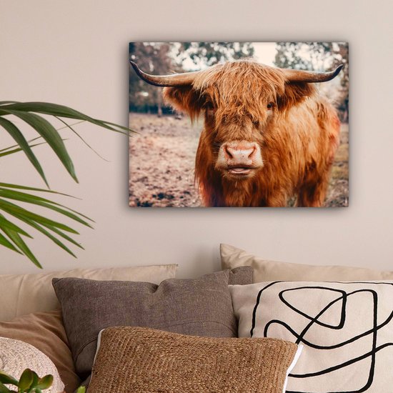 Tableau sur toile - Highlander - Animaux - Vache - Peintures salon - Décoration chambre - Toile toile - 40x30 cm