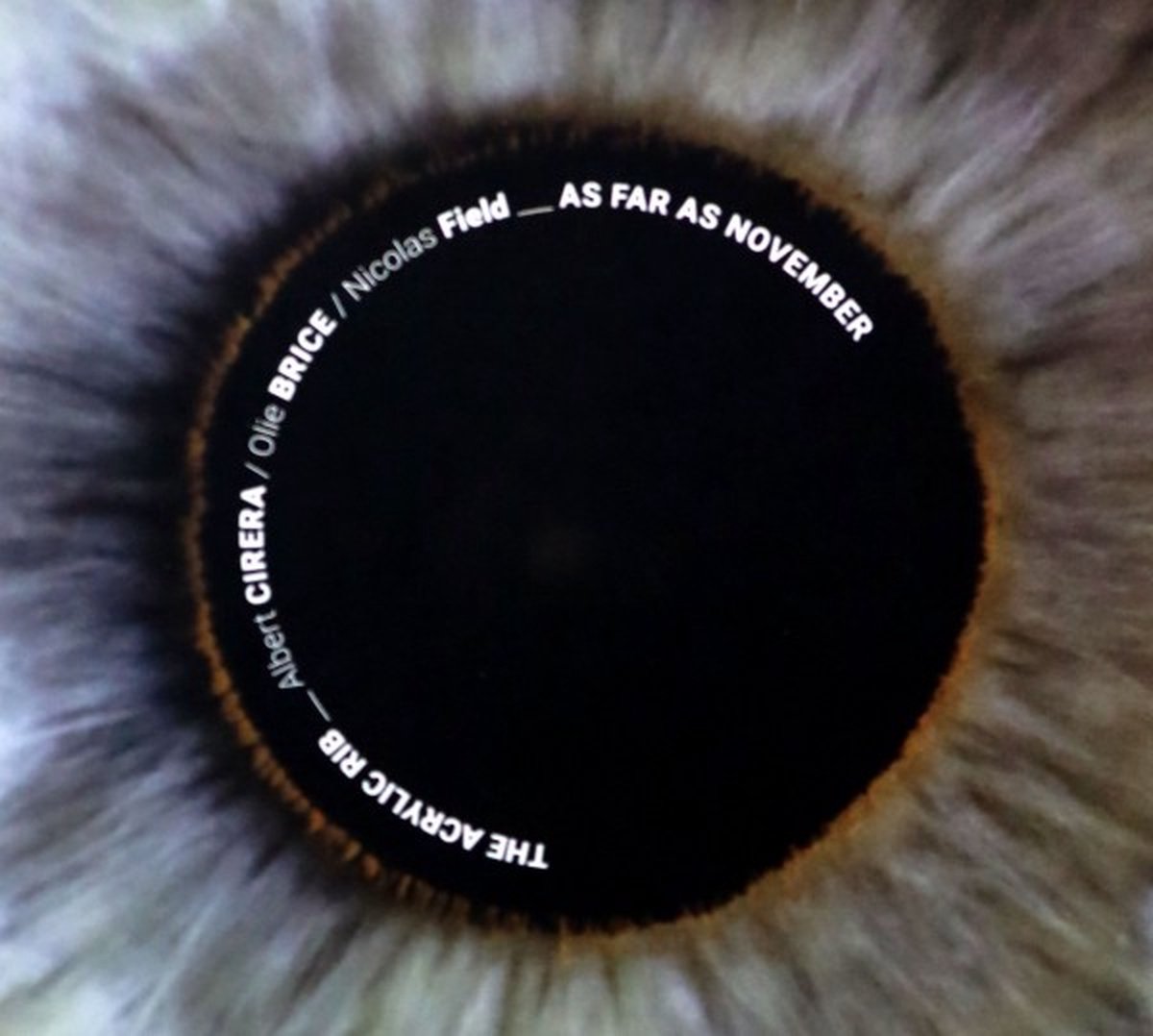 The Acrylic Rib: As far as November [CD]