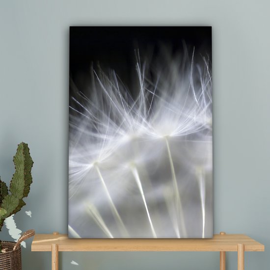 Canvas schilderij - Bloemen - Planten - Zaden - Wit - Canvasdoek - 40x60 cm - Foto op canvas - Schilderijen op canvas