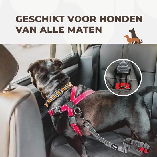 Harnais sécurité voiture pour chien