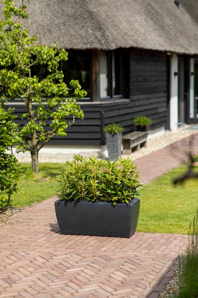 Capi Europe Jardinière rectangulaire basse Arc Granite - 60x35x40 - Noir