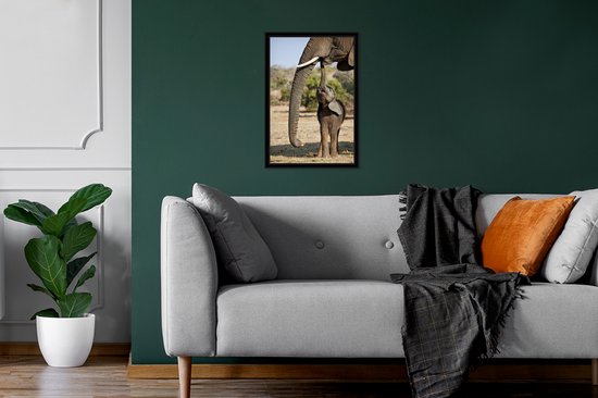 Cadre photo avec affiche - Bébé éléphant communique avec sa mère - 20x30 cm - Cadre pour affiche