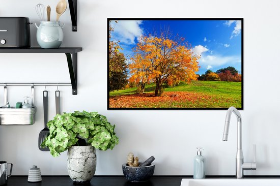 Cadre photo avec affiche - Arbre - Feuilles - Automne - Saisons - 60x40 cm - Cadre pour affiche