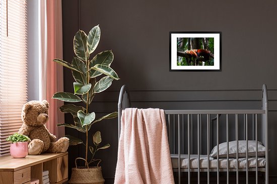 Pandas rouges dans les arbres 30x20 cm - petit