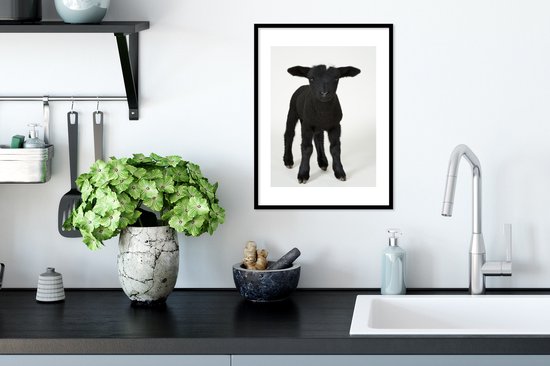 Photo en cadre - Bel agneau noir sur fond blanc Cadre photo noir avec passe-partout blanc petit 30x40 cm - Affiche sous cadre (Décoration murale salon / chambre)