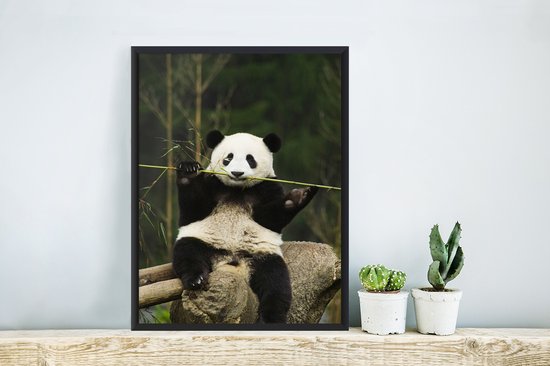 Panda mange du bambou 20x30 cm - petit