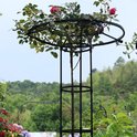 Zwarte metalen plantensteun met een roos die door de cirkelvormige top groeit in een tuin.