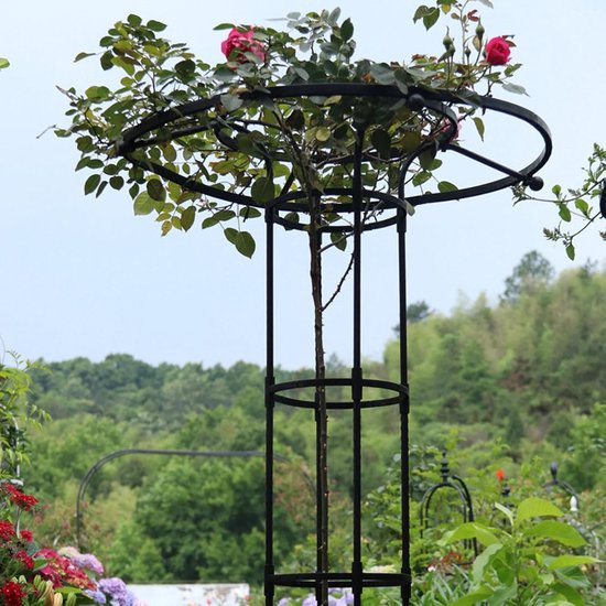 Zwarte metalen plantensteun met een roos die door de cirkelvormige top groeit in een tuin.
